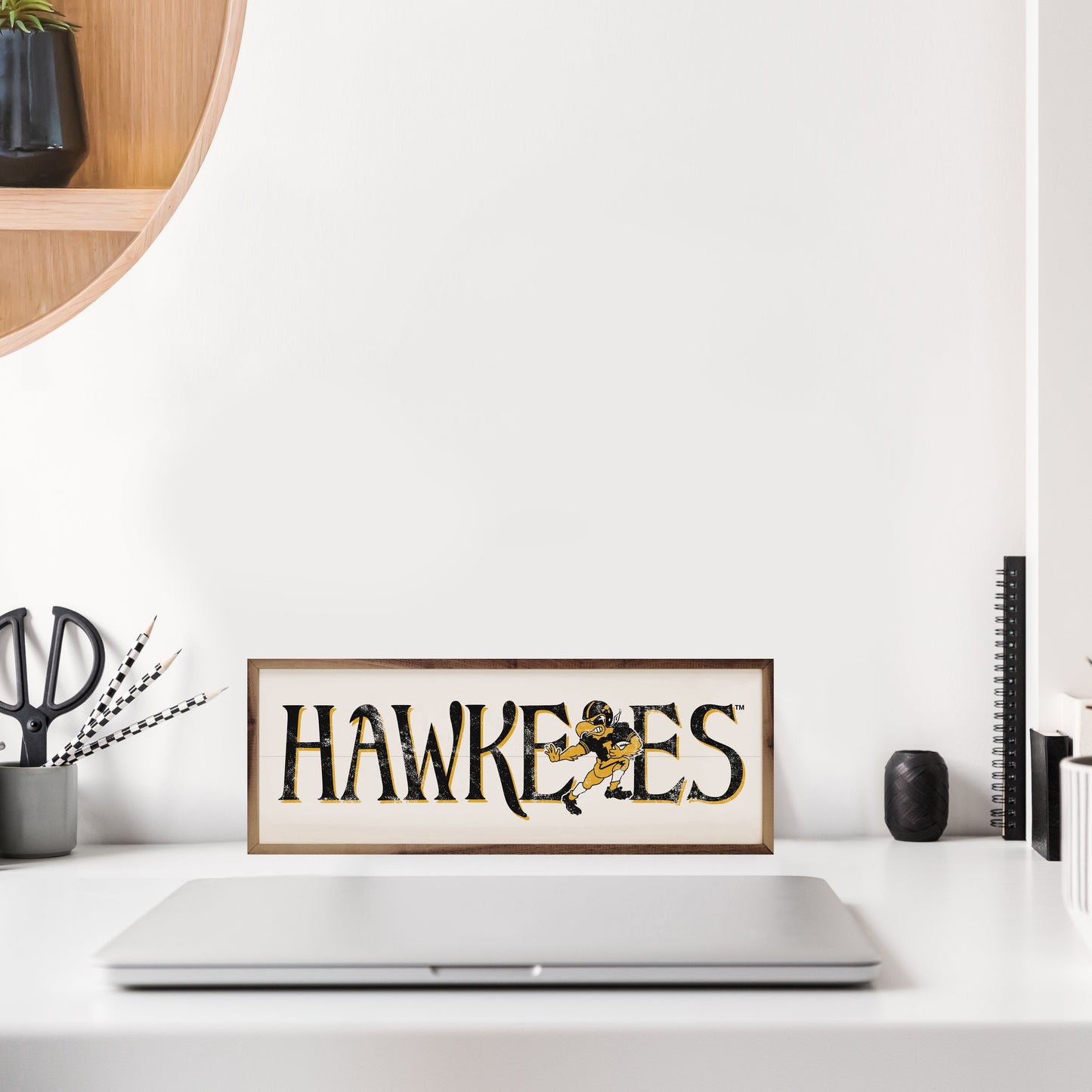 Vintage Hawkeyes White 8x24 / White