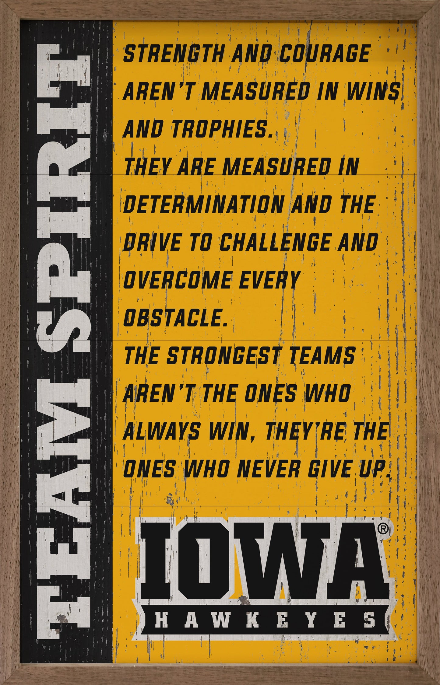 Team Spirit Iowa 10x16 / Gold