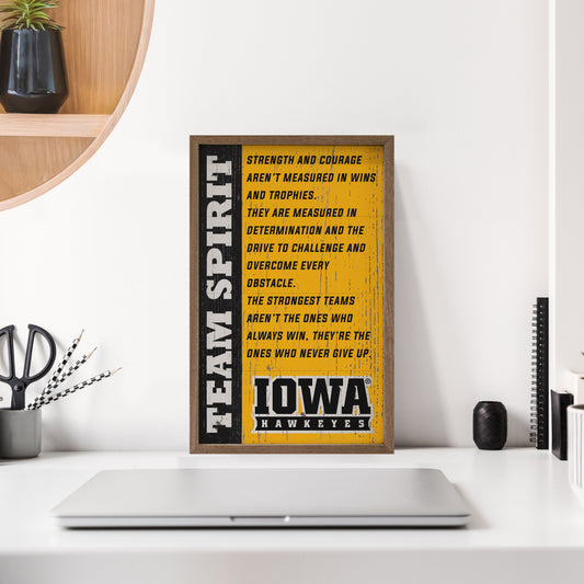 Team Spirit Iowa 10x16 / Gold