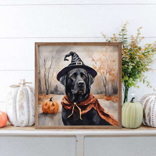 Halloween Black Lab