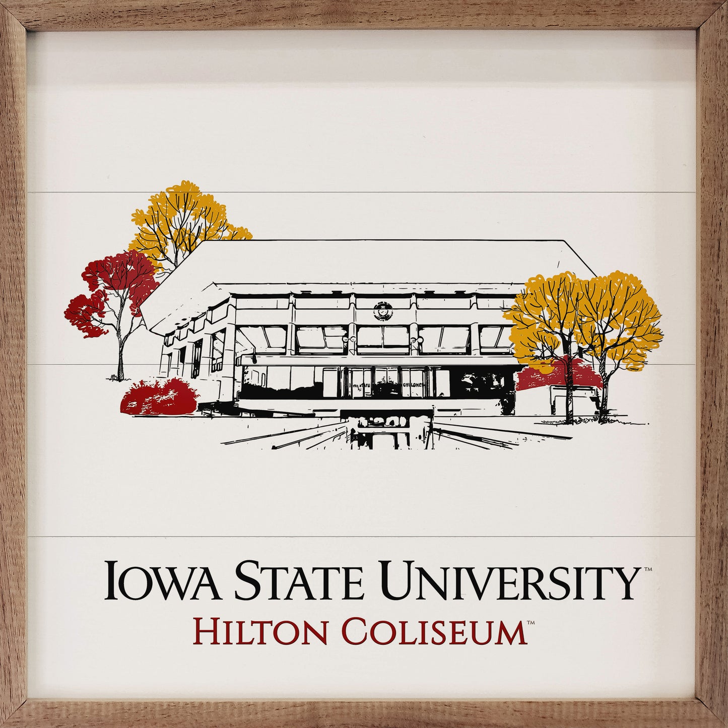 Sketch Hilton Coliseum Iowa State University