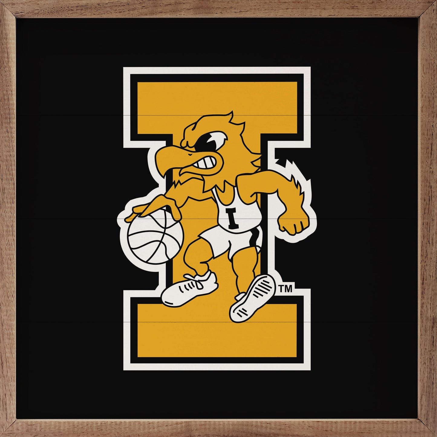 Vintage Bold Letter Basketball University Of Iowa Black