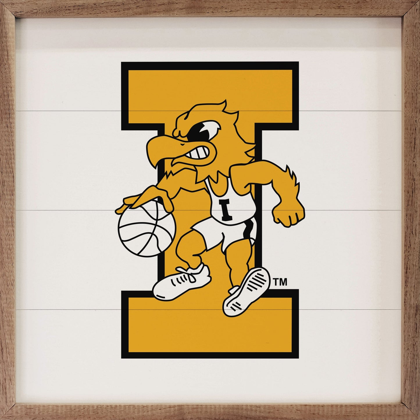 Vintage Bold Letter Basketball University Of Iowa White