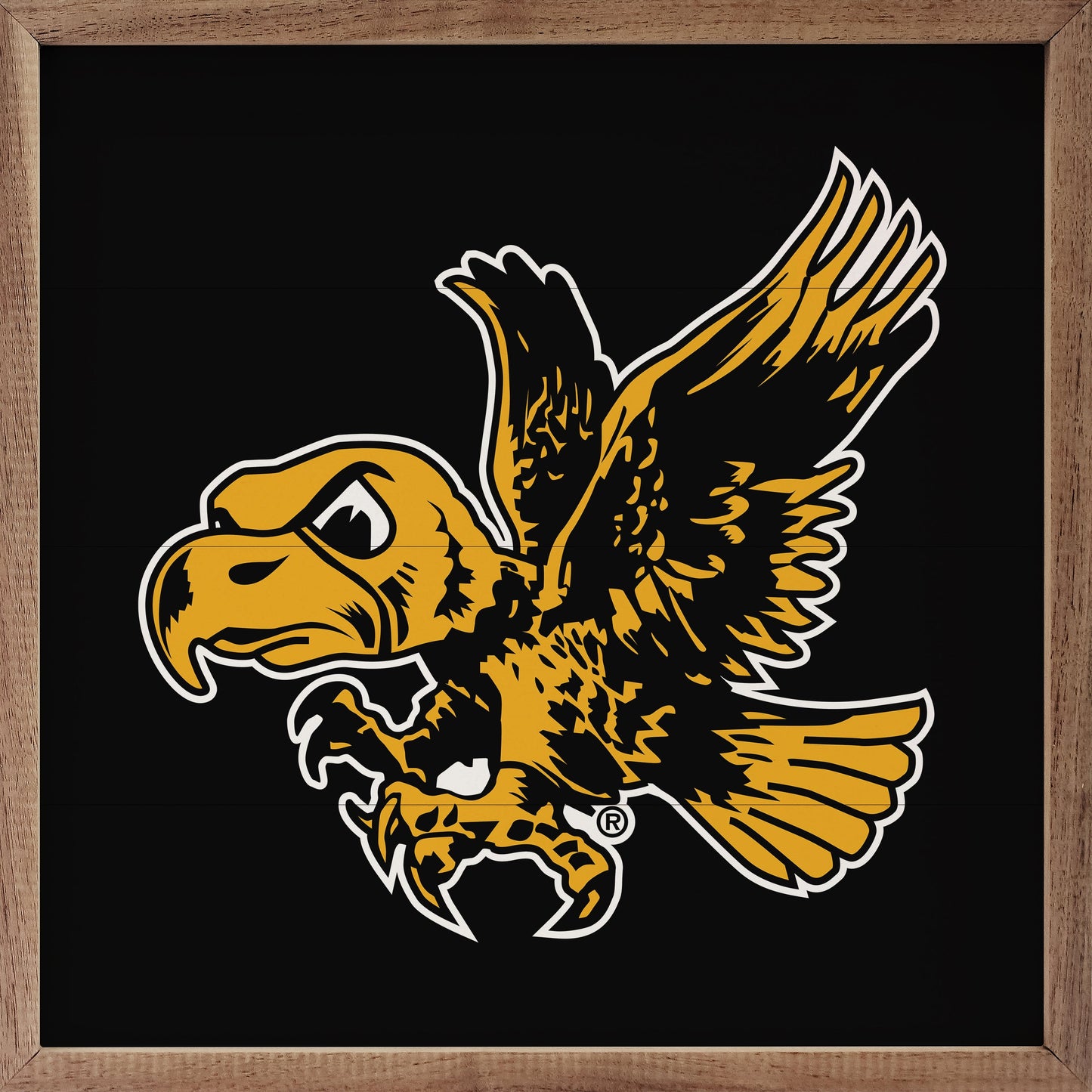 Vintage Flying Herky University Of Iowa Black