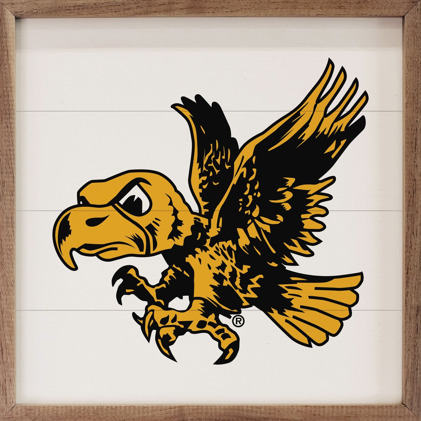 Vintage Flying Herky University Of Iowa White