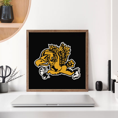 Vintage Running Football Herkey University Of Iowa Black