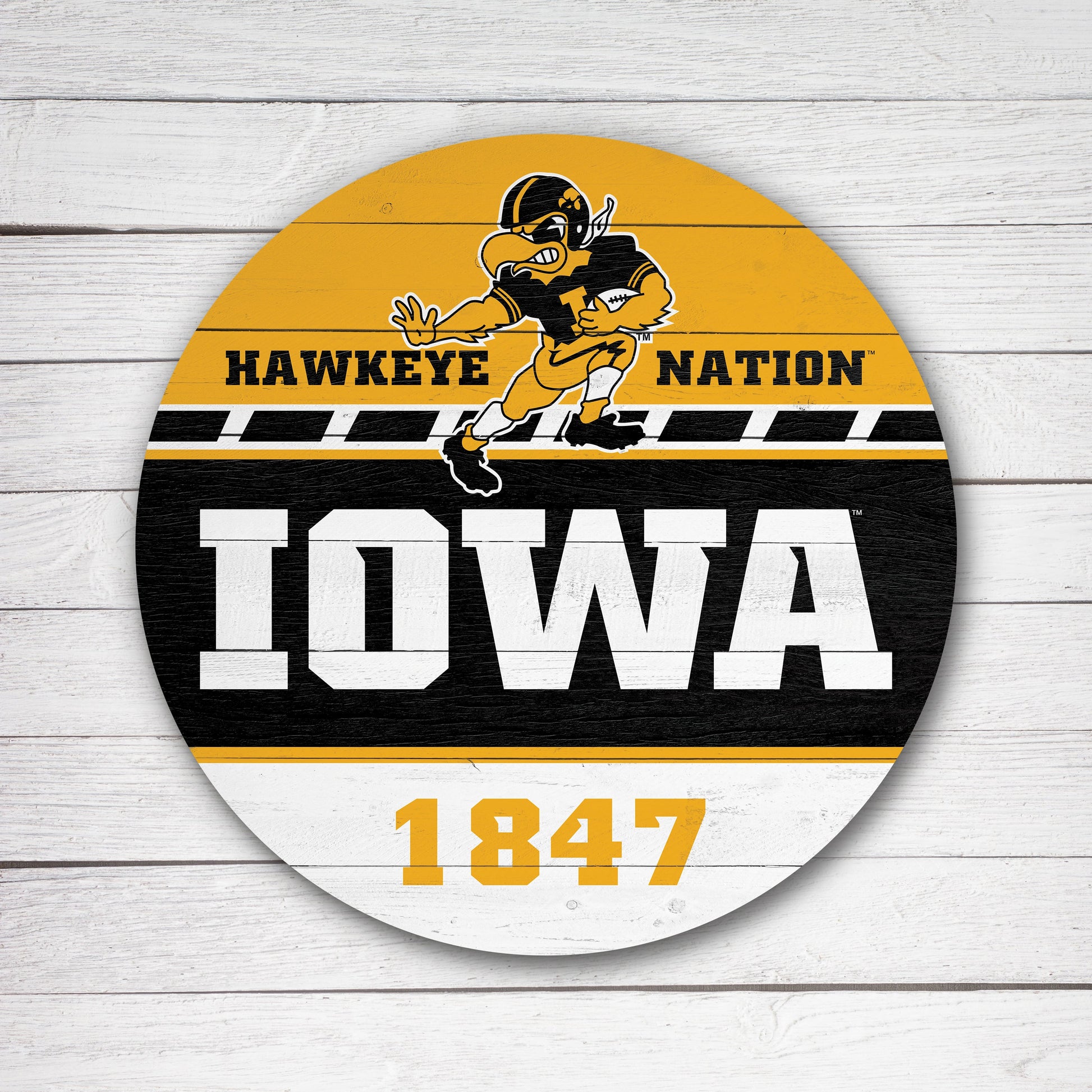 Modern Established Iowa 16x16 / Multi-Color