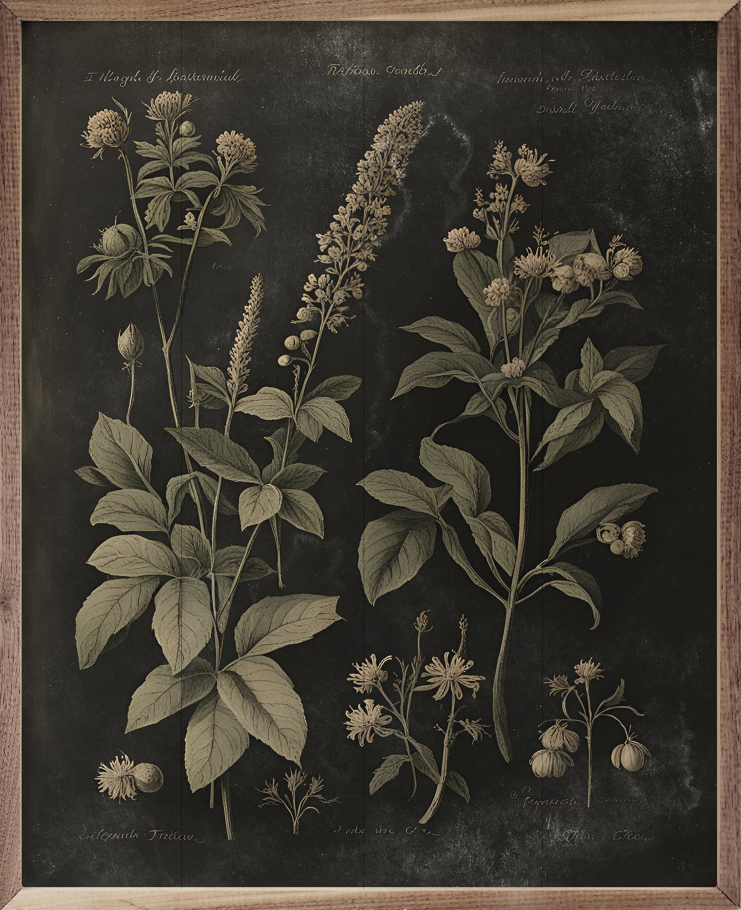 RD - Vintage Neutral Floral Print Black  24"x30"