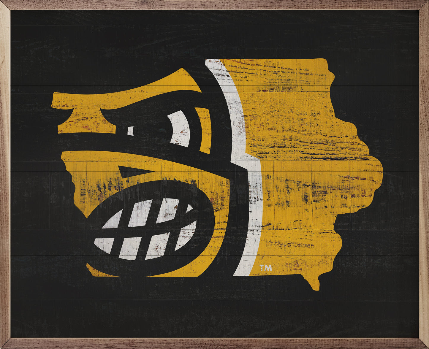 State Logo Iowa 20x16 / Black